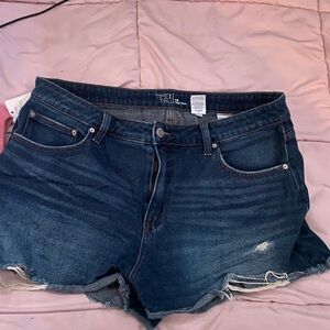 Time and Tru Women's Dark Blue Jean Shorts